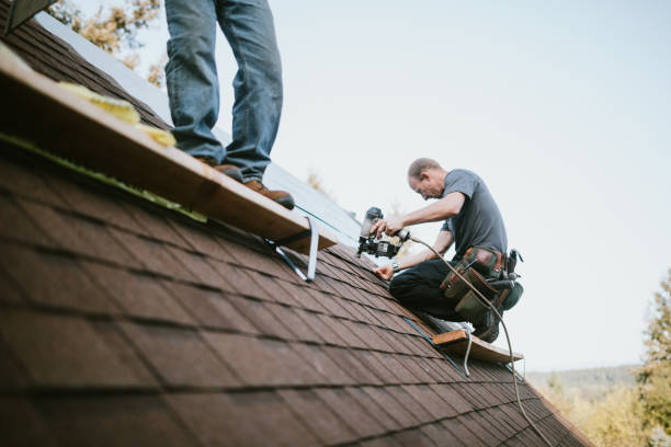 Best Local Roofing Companies  in Carson, WA